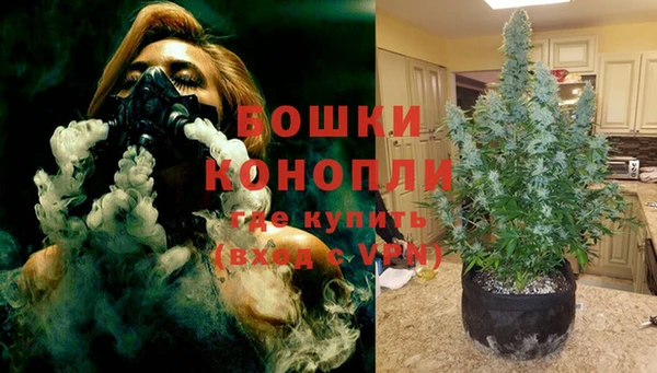 дживик Нязепетровск