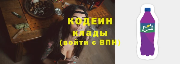прущий лед Няндома