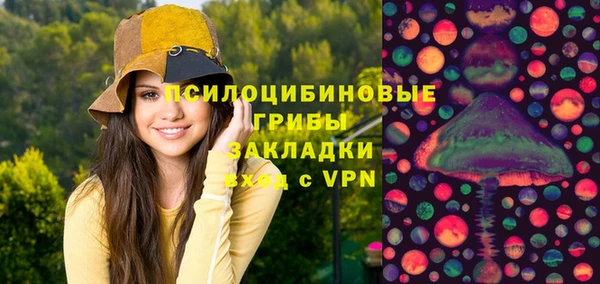 прущий лед Няндома