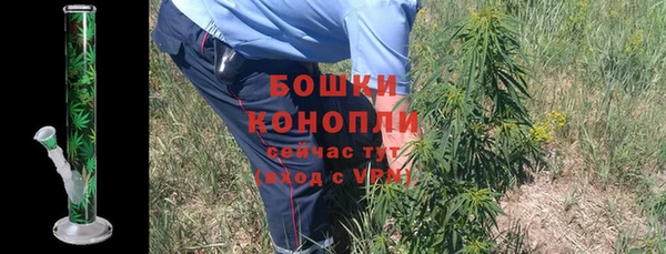 дживик Нязепетровск