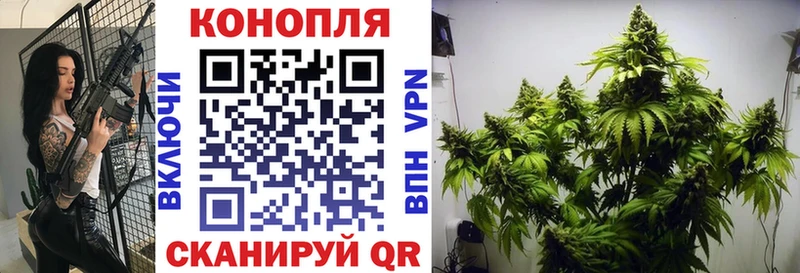 Каннабис LSD WEED  купить закладку  ОМГ ОМГ зеркало  Сольвычегодск 